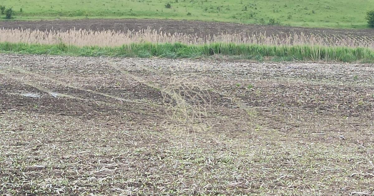 Teren Construcții intravilan de 1000 mp, în Sărata