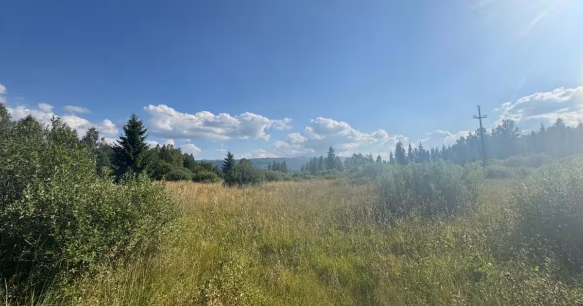 Teren Construcții intravilan de 12743 mp, în Șaru Dornei