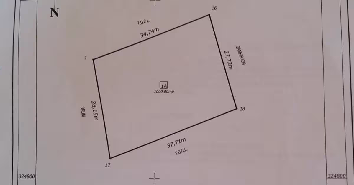Teren Construcții intravilan de 1000 mp, în Sărulești