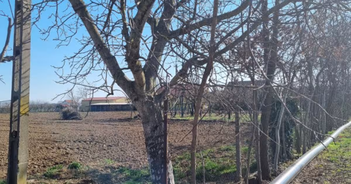 Teren Construcții intravilan de 7500 mp, în zona Titulescu, Satu Mare