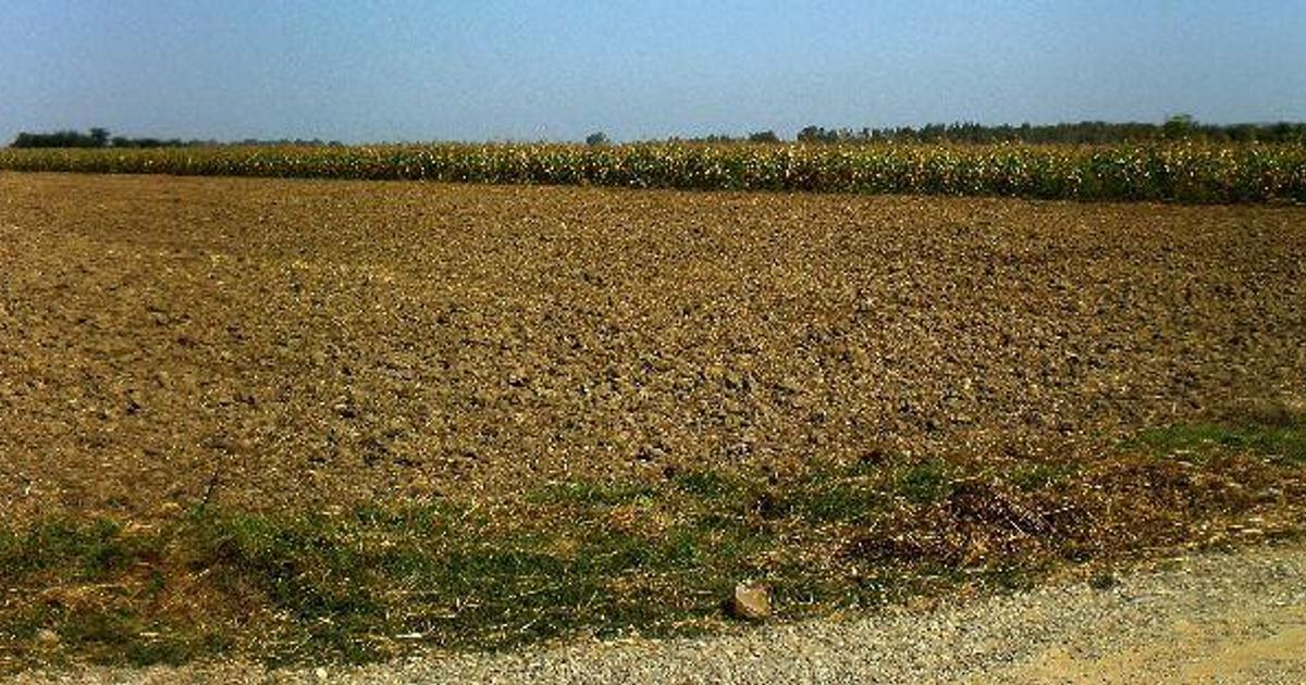 Teren Construcții intravilan de 18200 mp, în Săucești