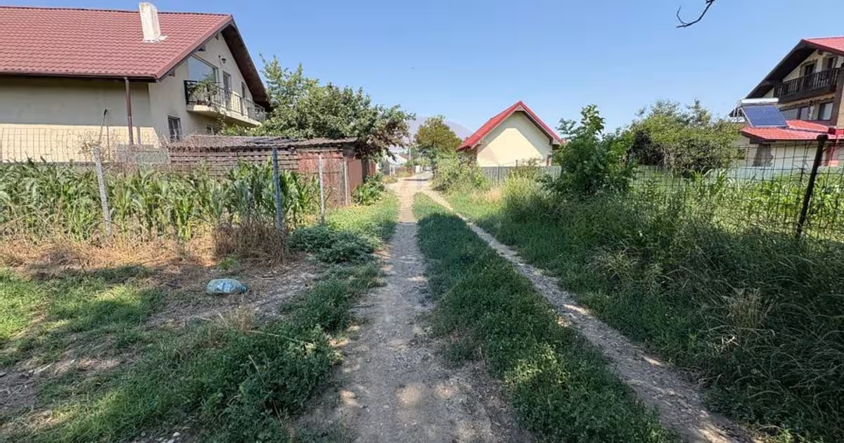 Teren Construcții intravilan de 9012 mp, în Săucești