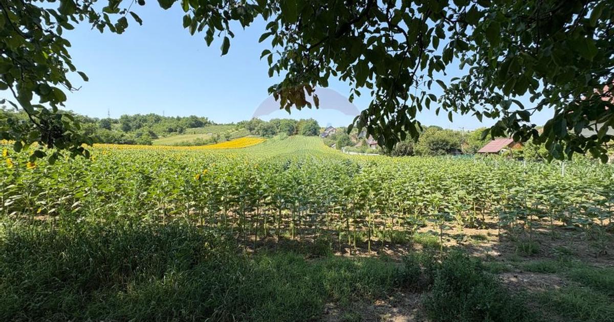 Teren Construcții intravilan de 9012 mp, în Săucești