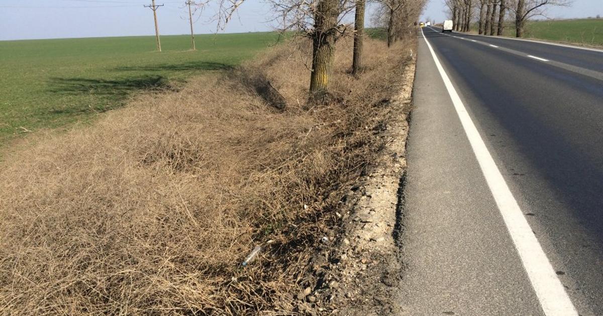 Teren Construcții intravilan de 37000 mp, în Semlac