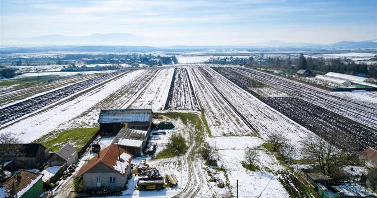 Teren Construcții intravilan de 6245 mp, în zona Exterior Est, Sfântu Gheorghe