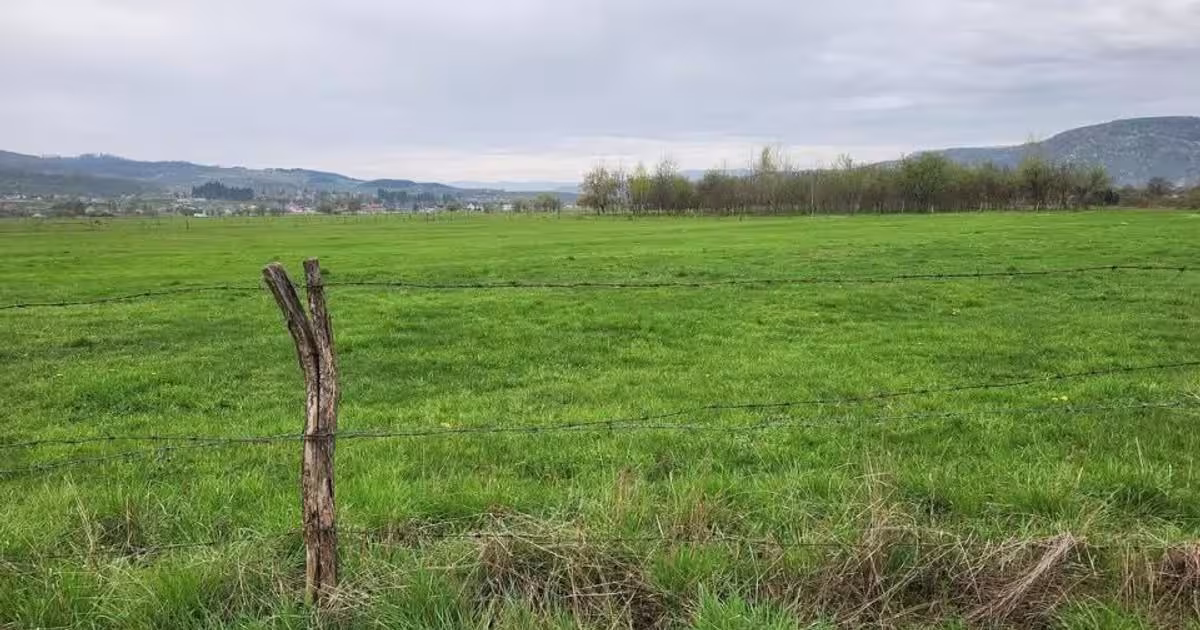 Teren Construcții intravilan de 13377 mp, în zona Est, Sighetu Marmației