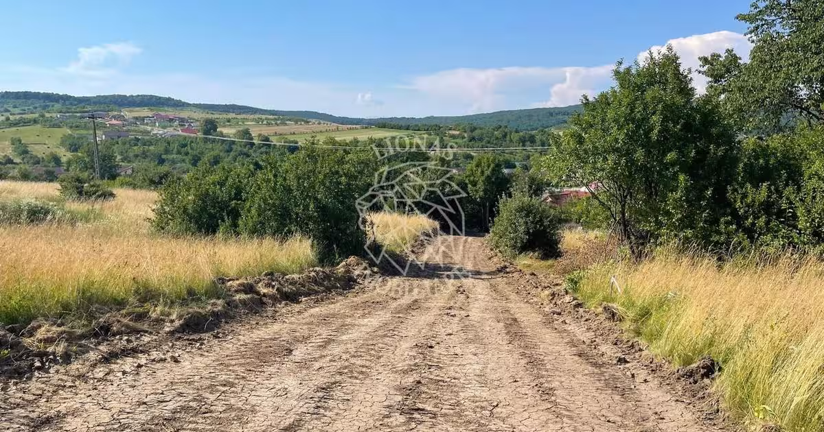 Teren Construcții extravilan de 1000 mp, în Sigmir
