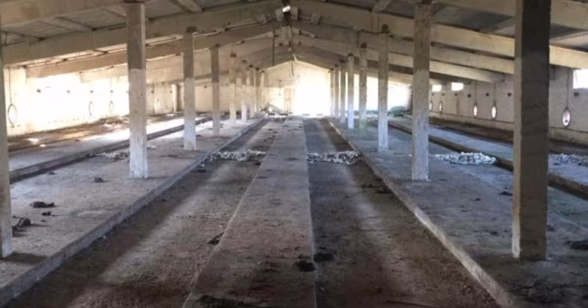 Teren Construcții intravilan de 26395 mp, în Șimnicu de Sus