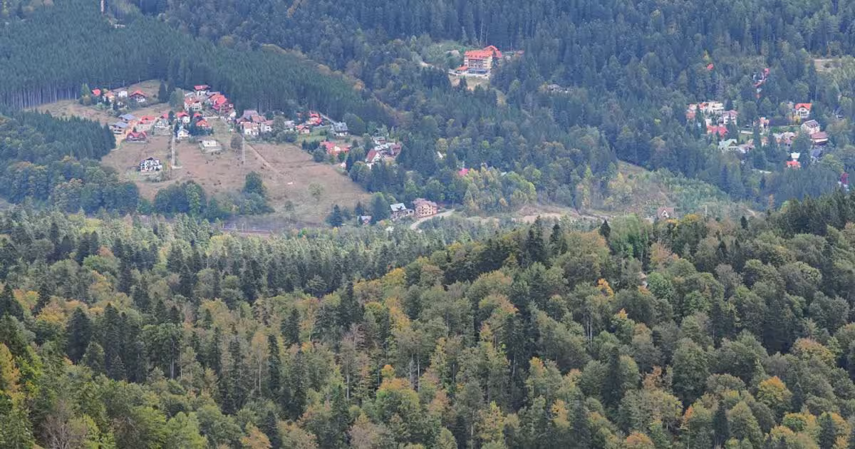 Teren Construcții intravilan de 9801 mp, în zona Cumpătu, Sinaia