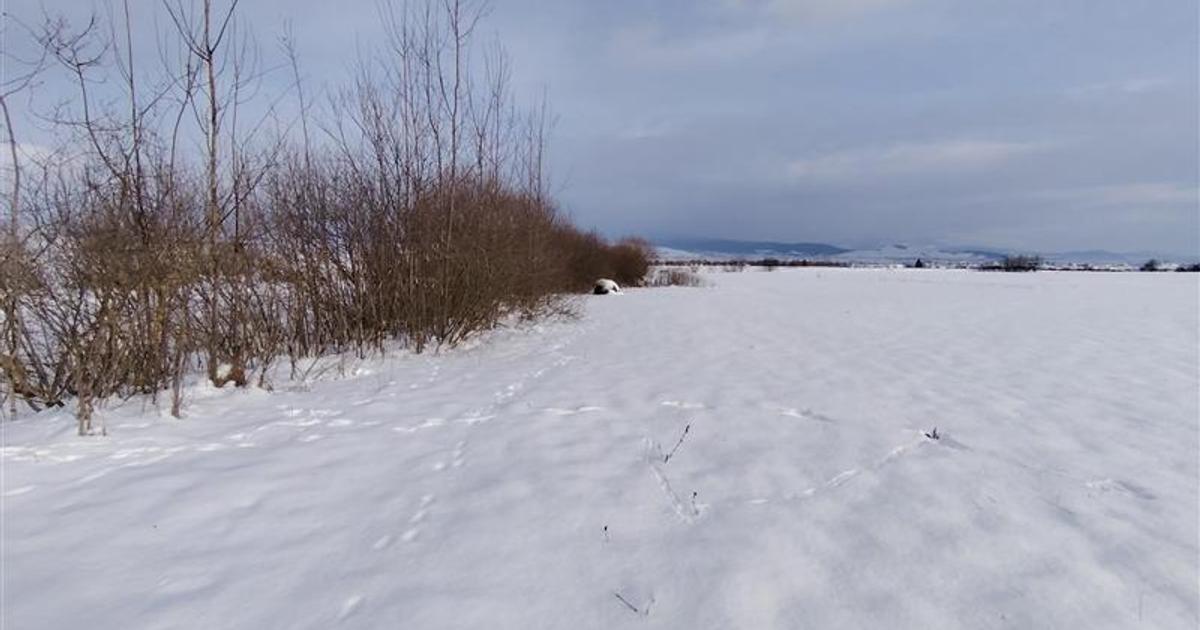 Teren Construcții intravilan de 2810 mp, în Sineu