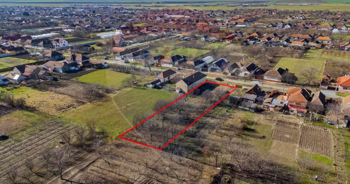 Teren Construcții intravilan de 1295 mp, în Șiria