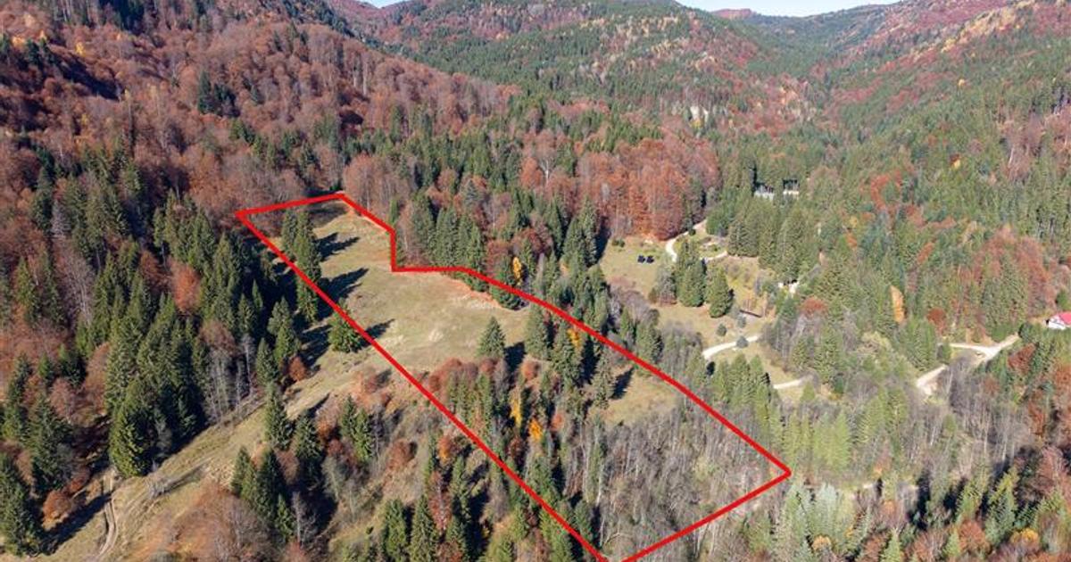 Teren Construcții extravilan de 16600 mp, în Siriu