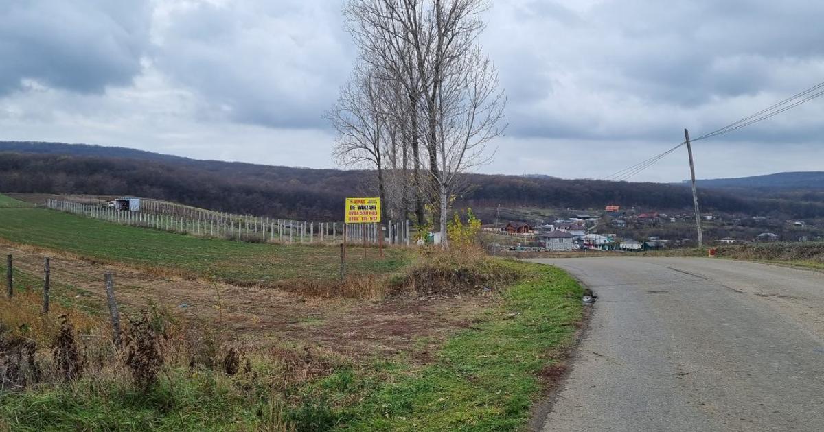 Teren Construcții intravilan de 1000 mp, în Stâncești