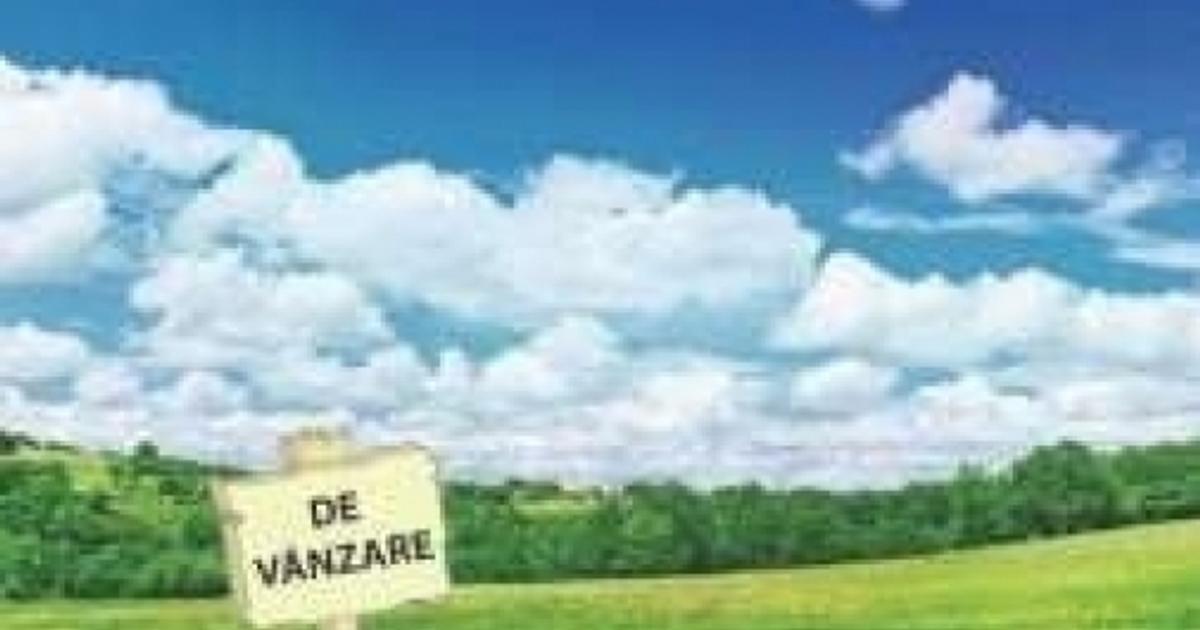 Teren Construcții intravilan de 3628 mp, în Stâncești