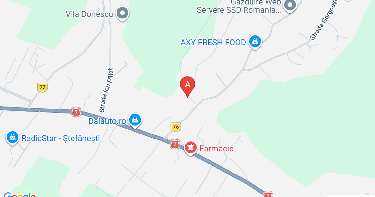 Teren Construcții intravilan de 1029 mp, în Ștefănești