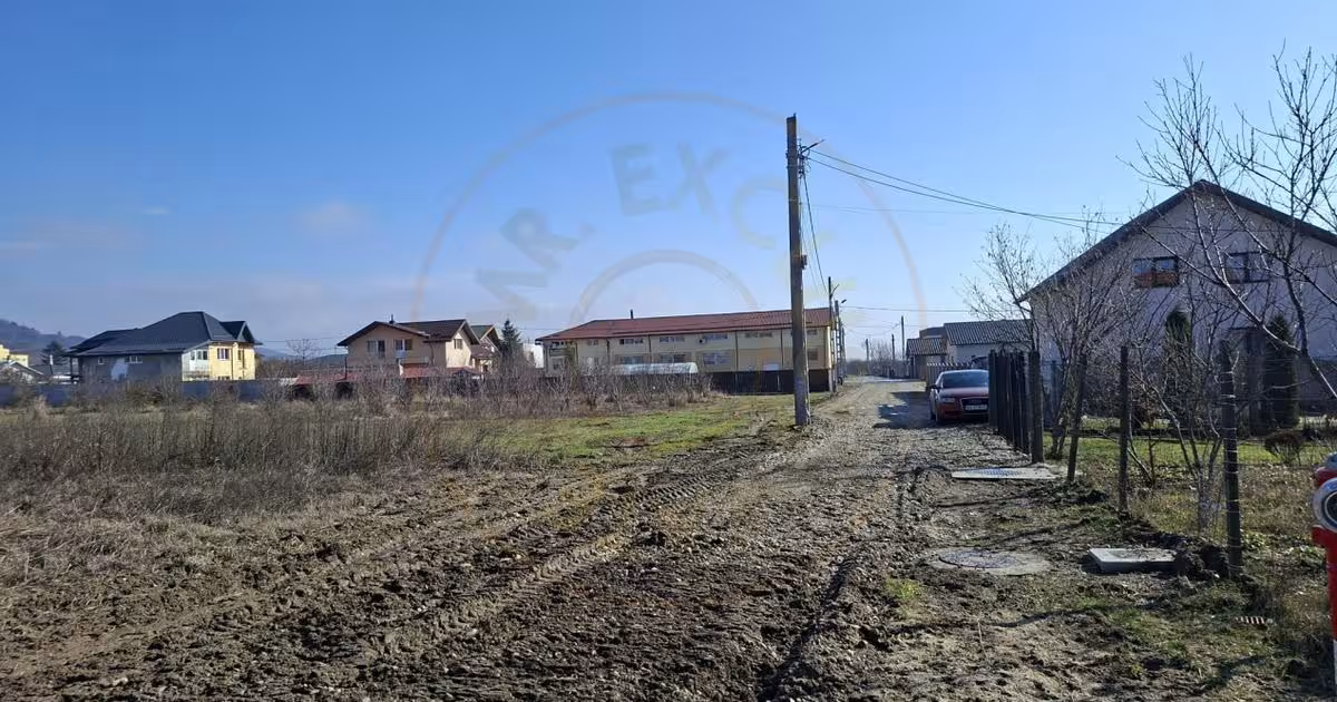 Teren Construcții intravilan de 3633 mp, în Ștefănești