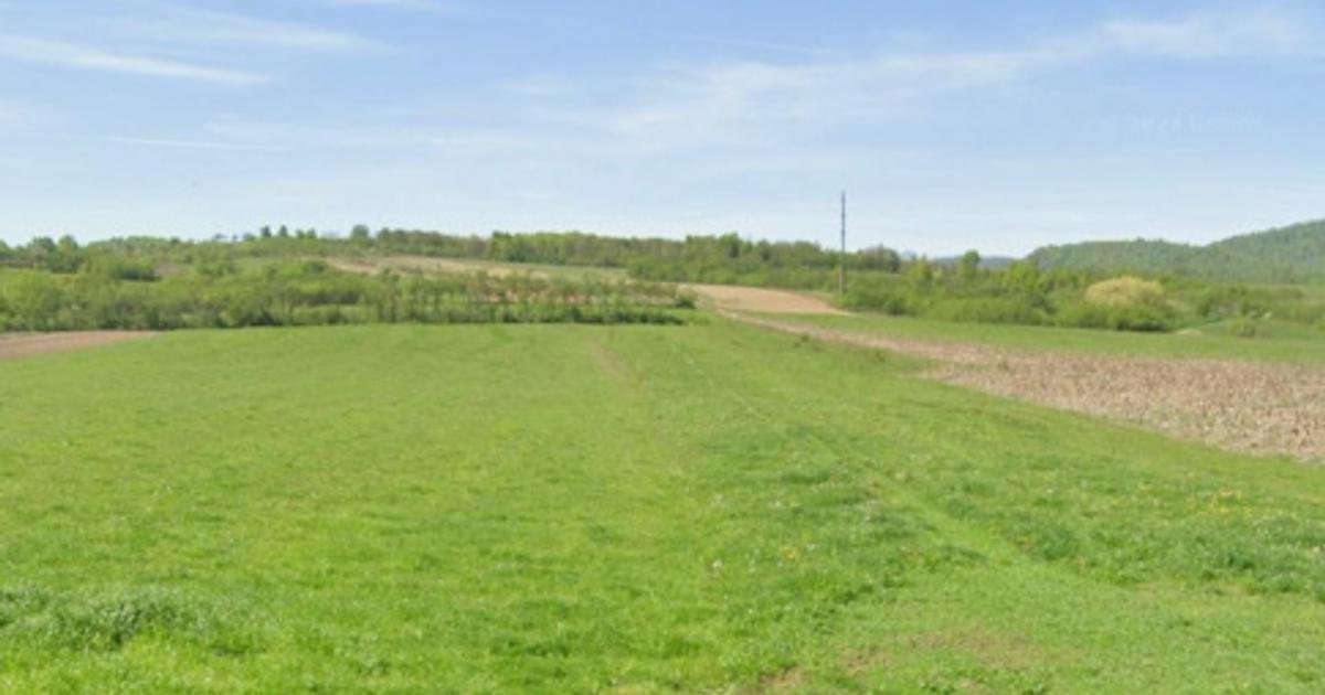 Teren Construcții extravilan de 4524 mp, în Ștei