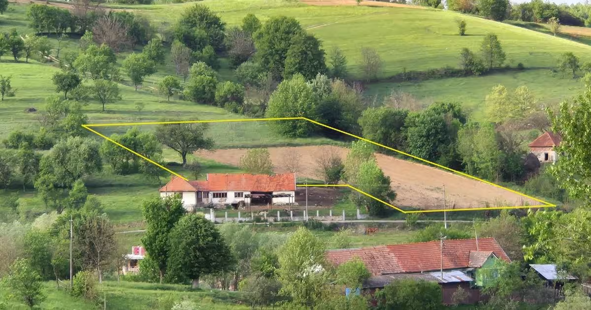 Teren Construcții intravilan de 2962 mp, în Sulighete