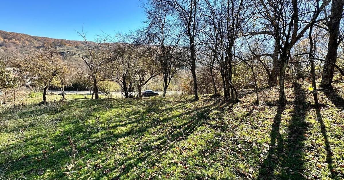 Teren Construcții intravilan de 4044 mp, în Sultanu