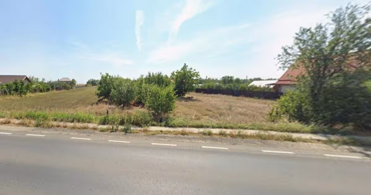 Teren Construcții intravilan de 5000 mp, în Tămădău Mare
