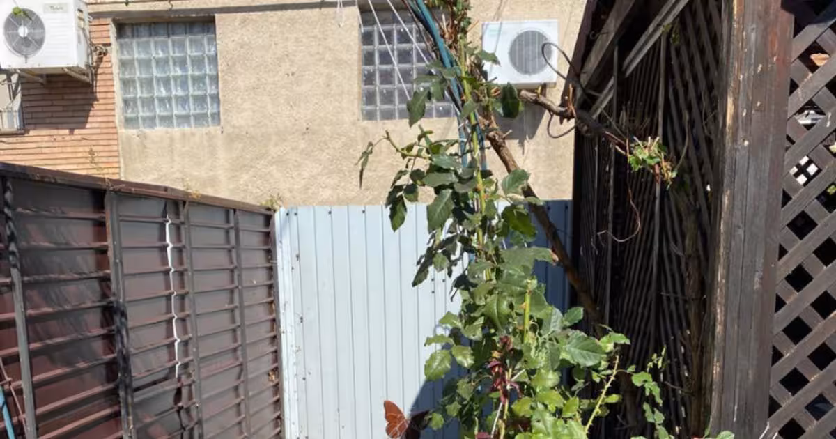 Teren Construcții intravilan de 221 mp, în zona Central, Târgu Jiu