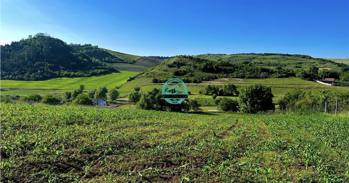 Teren Construcții intravilan de 4946 mp, în zona Central, Târgu Mureș