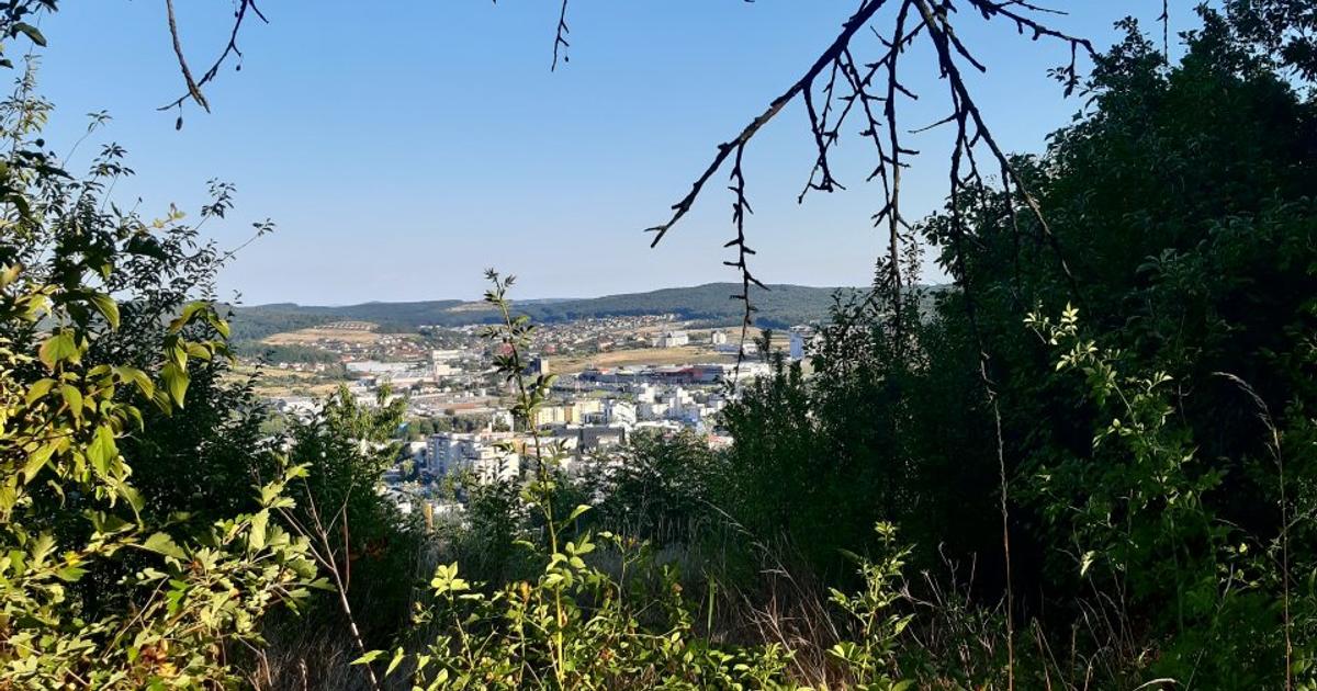 Teren Construcții intravilan de 2100 mp, în zona Platou, Târgu Mureș