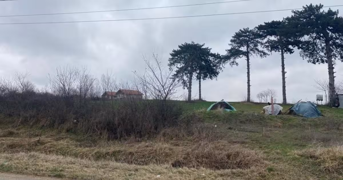 Teren Construcții intravilan de 7631 mp, în Tatomirești