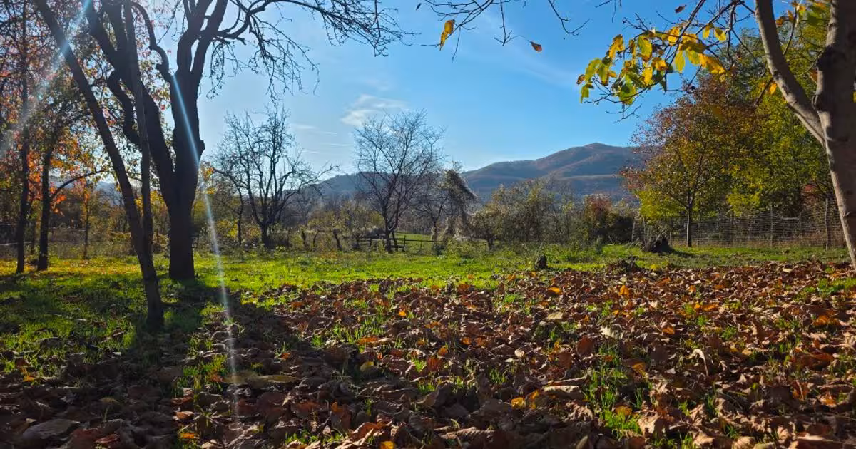 Teren Construcții intravilan de 3300 mp, în Tega