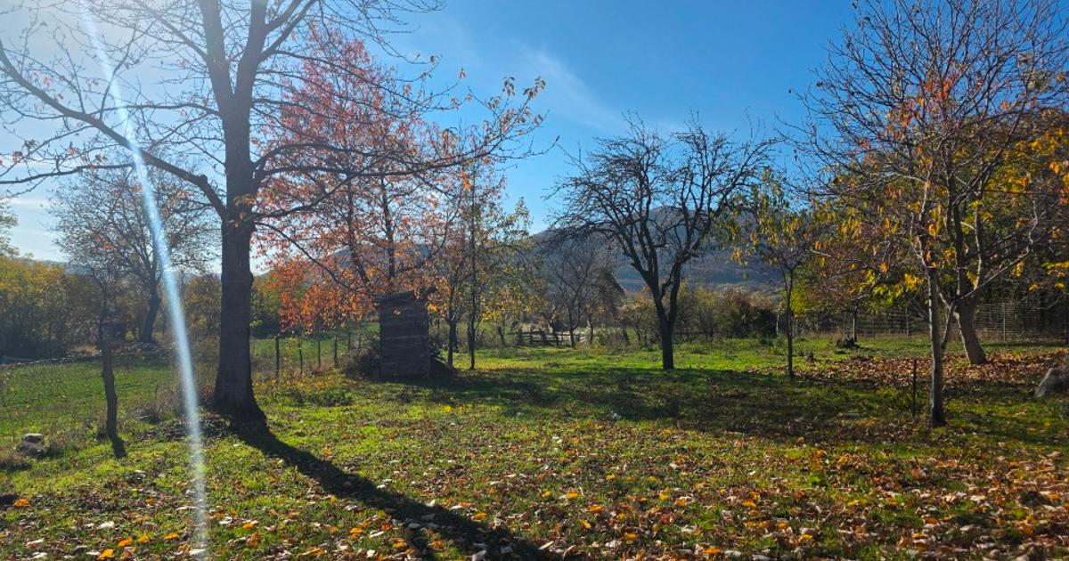 Teren Construcții intravilan de 3300 mp, în Tega