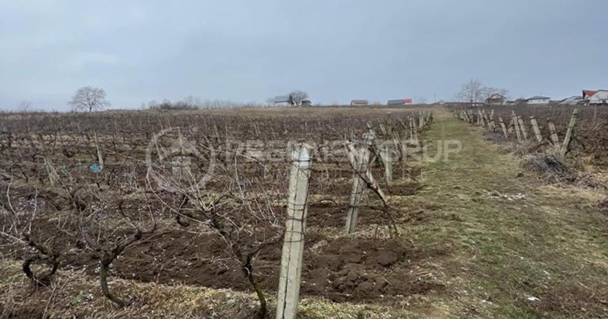 Teren Construcții intravilan de 4209 mp, în Tomești