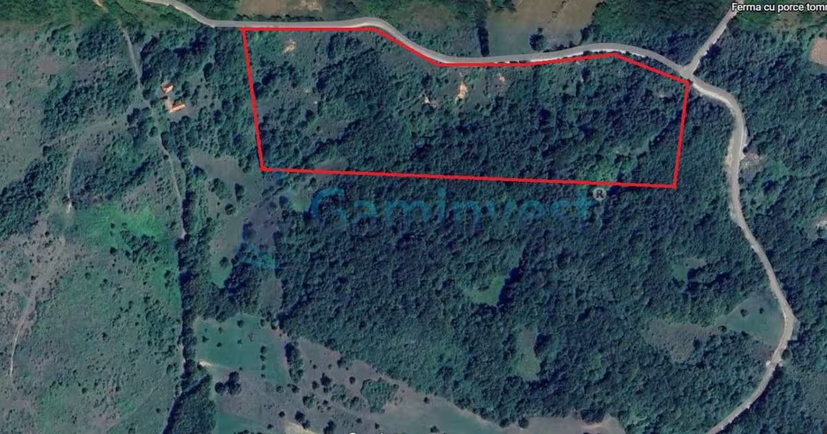 Teren Construcții intravilan de 64500 mp, în Tomnatic