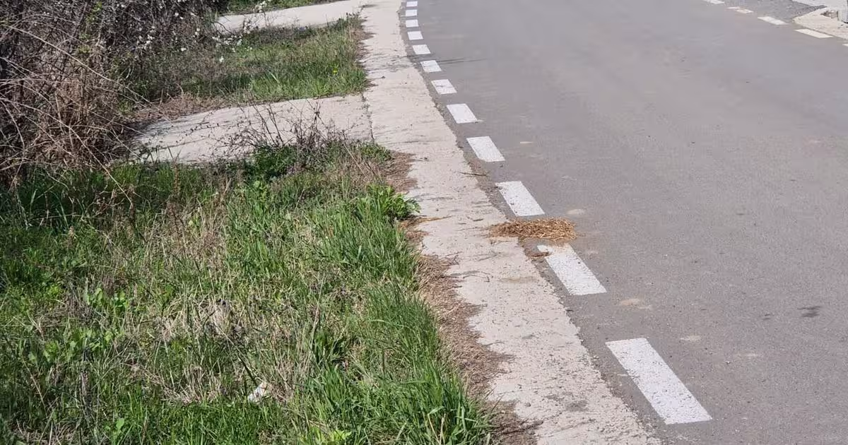 Teren Construcții intravilan de 850 mp, în Totoi