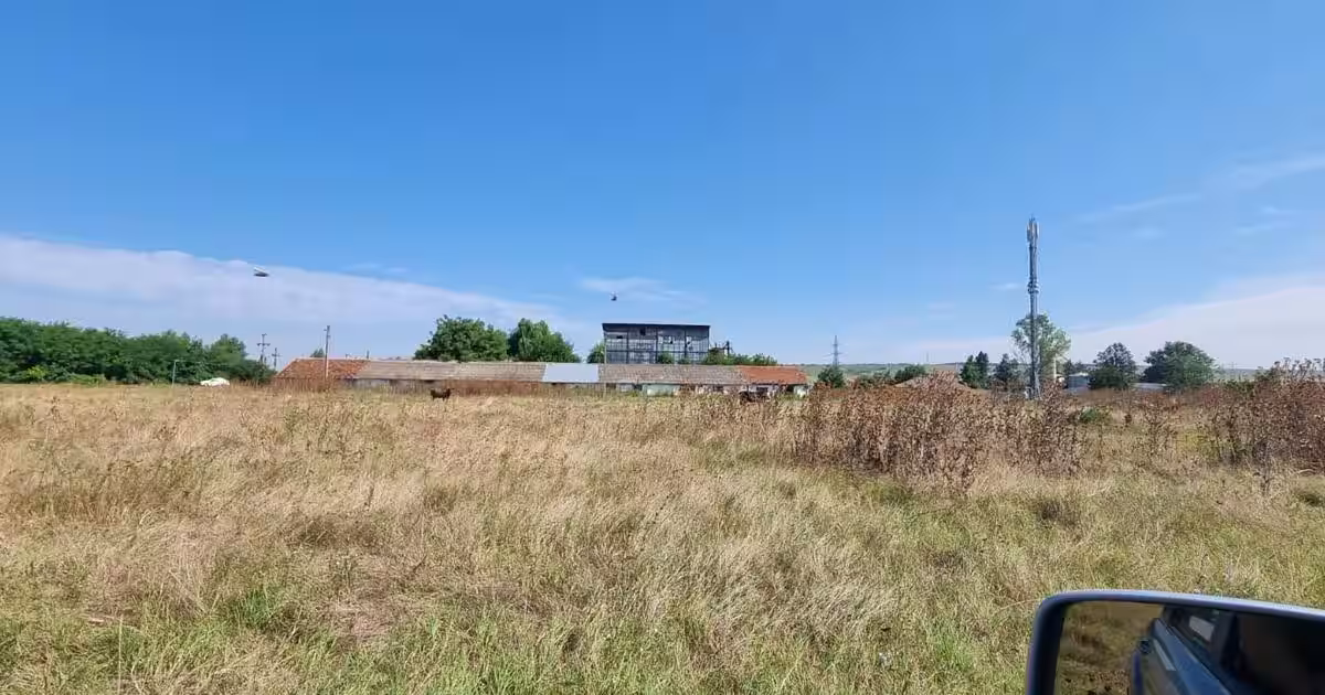 Teren Construcții intravilan de 10000 mp, în zona Nord-Est, Turnu Măgurele