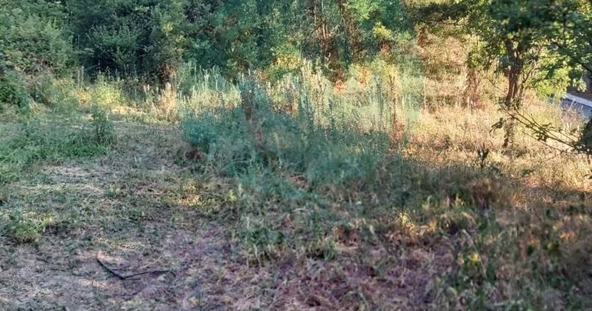 Teren Construcții intravilan de 1690 mp, în zona Ultracentral, Strehaia
