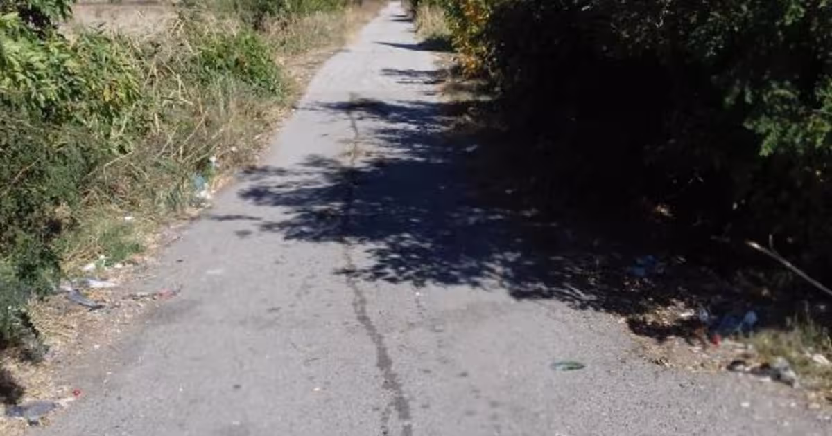 Teren Construcții intravilan de 120000 mp, în zona Est, Urziceni