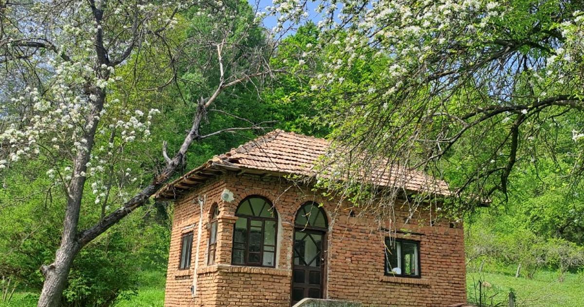 Teren Construcții intravilan de 3700 mp, în Valea lui Enache