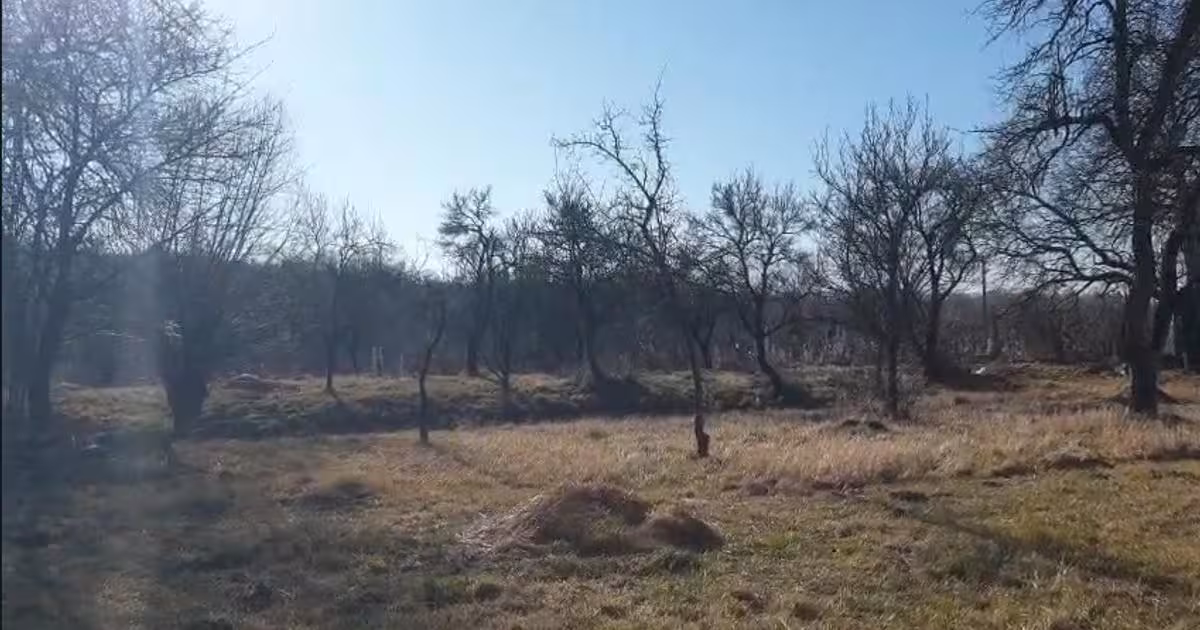Teren Construcții intravilan de 6027 mp, în Valea Mare-Pravăț