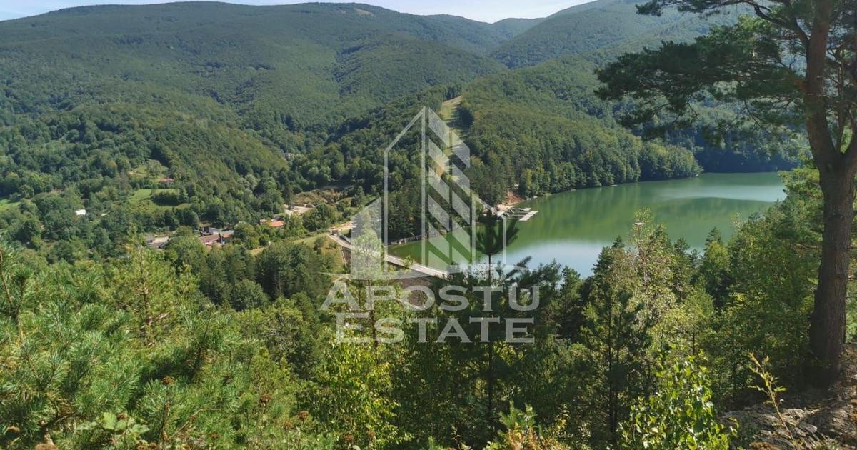 Teren Construcții intravilan de 2000 mp, în Văliug