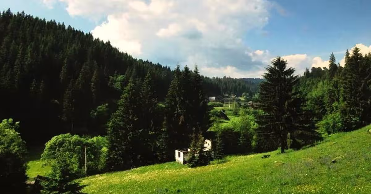 Teren Construcții intravilan de 34000 mp, în Vărșag