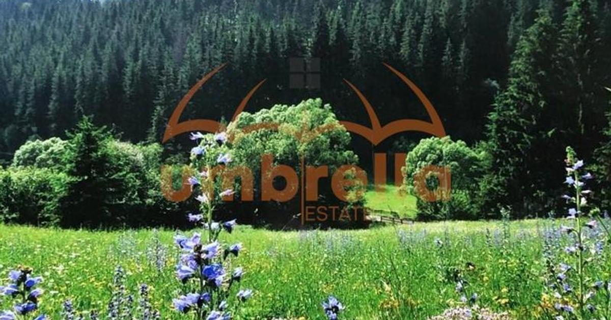 Teren Construcții intravilan de 34201 mp, în Vărșag