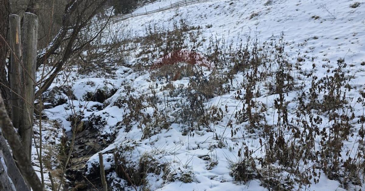 Teren Construcții de 2833 mp, în zona Central, Vatra Dornei