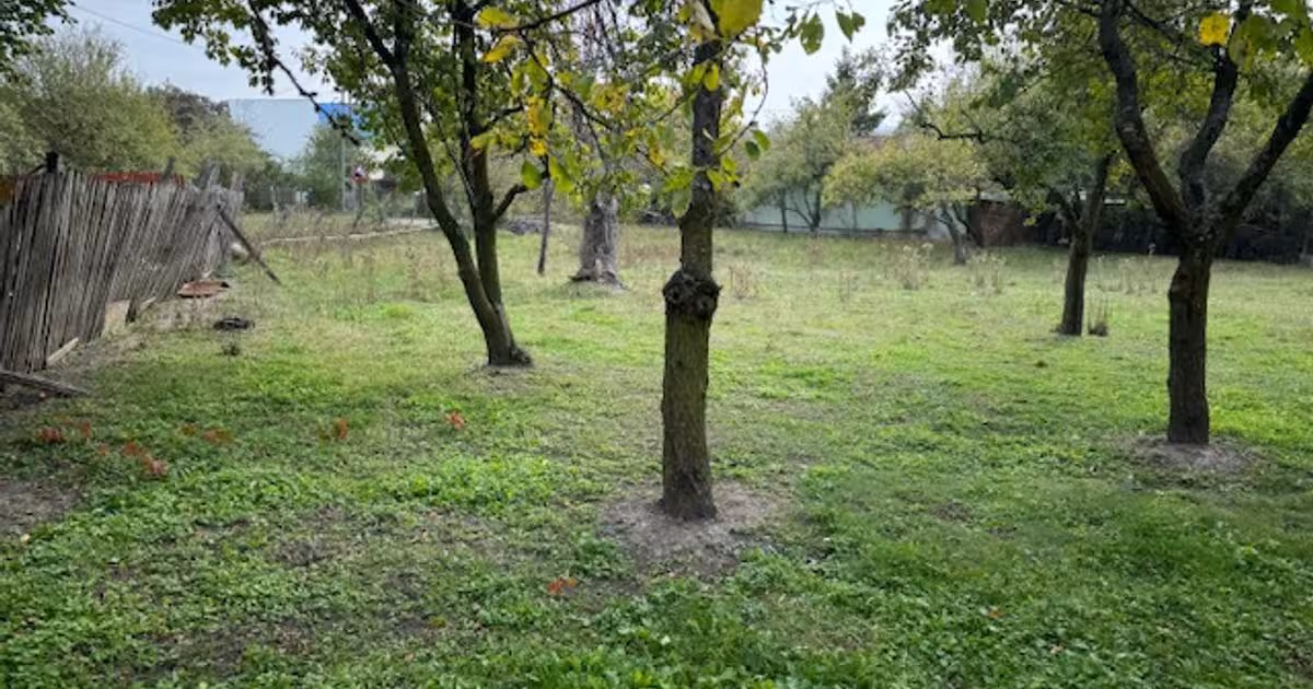 Teren Construcții intravilan de 2644 mp, în Viișoara
