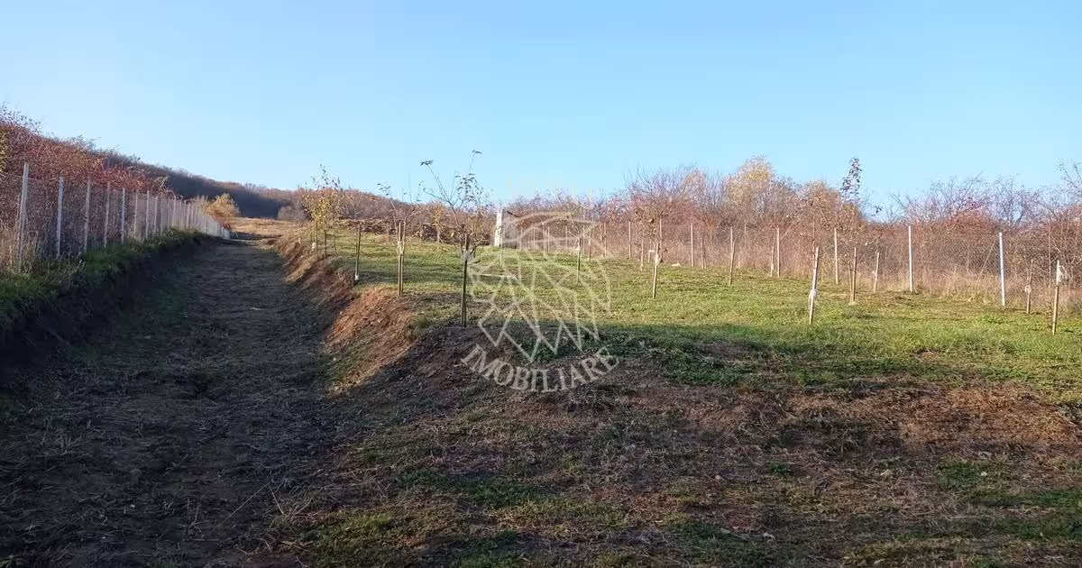 Teren Construcții intravilan de 2700 mp, în Viișoara