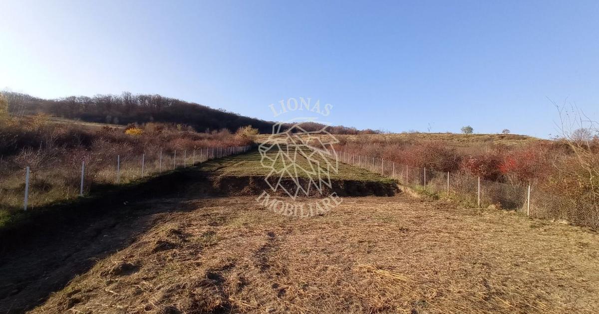 Teren Construcții intravilan de 2700 mp, în Viișoara