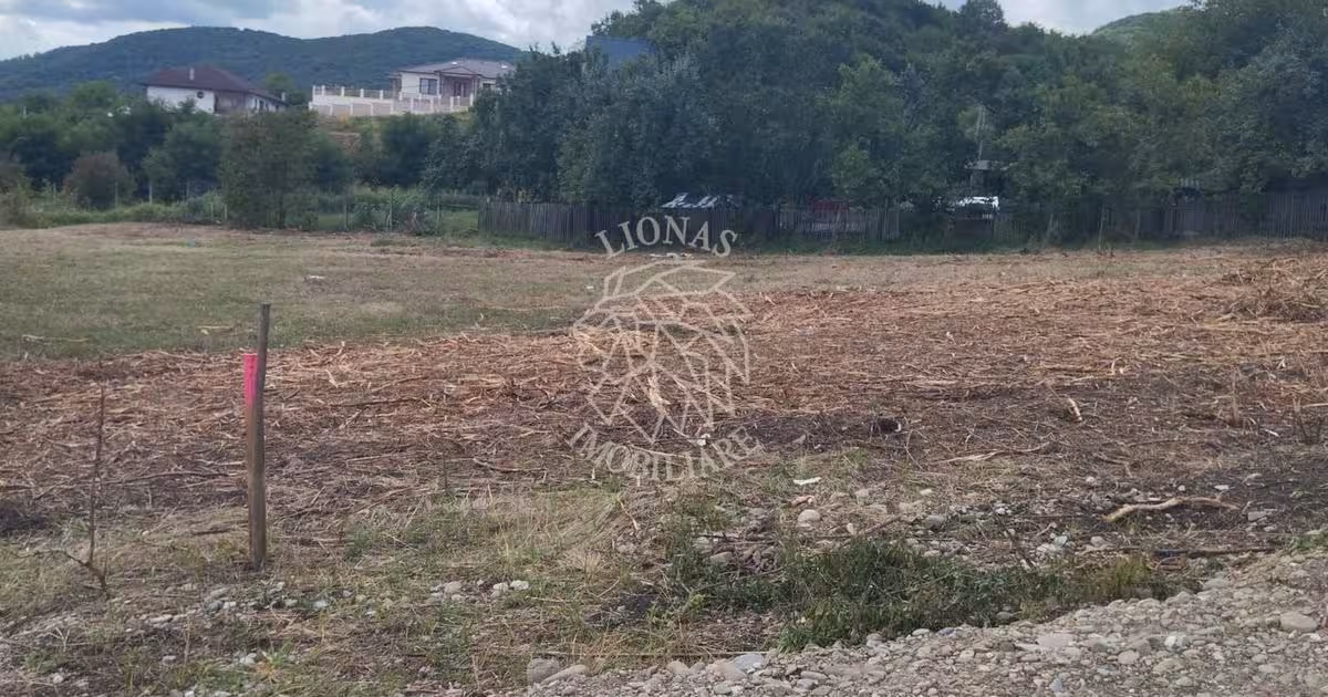 Teren Construcții intravilan de 4761 mp, în Viișoara