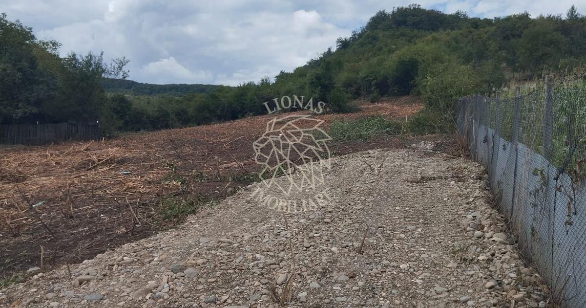 Teren Construcții intravilan de 4761 mp, în Viișoara