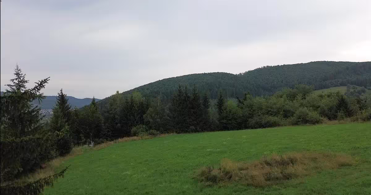 Teren Construcții intravilan de 5023 mp, în Voroneț