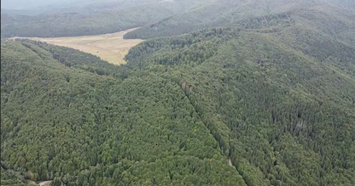 Teren extravilan de 69450 mp, în Arefu