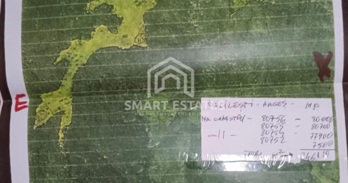 Teren extravilan de 250000 mp, în Bălilești